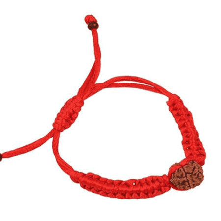 3 Mukhi/Face Rudraksha Bracelet, Brown